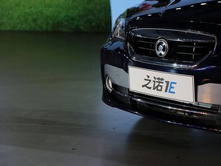 1E图片