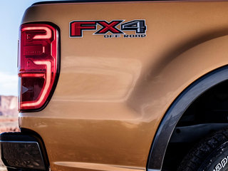 游骑侠Ranger图片