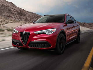 Stelvio斯坦维图片