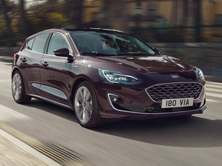 福克斯（进口）图片