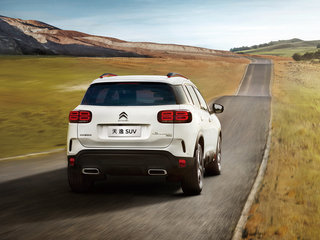 天逸 C5 AIRCROSS图片