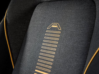 嘉年华(进口)图片