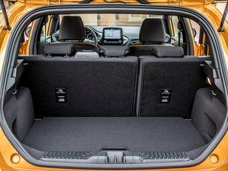 嘉年华(进口)图片