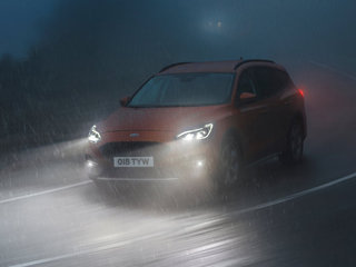 福克斯（进口）图片