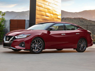 西玛(海外)图片