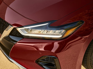 西玛(海外)图片