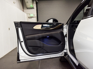 FF 91图片