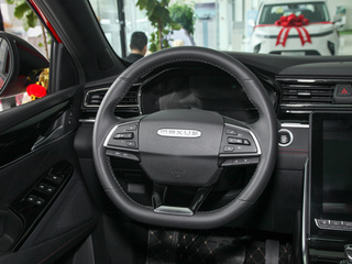 上汽大通MAXUS D60图片