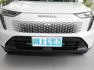 哈弗枭龙MAX图片