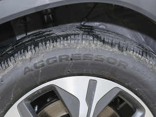 瑞虎8 PRO新能源图片