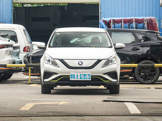 風(fēng)行S50EV圖片