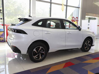 風(fēng)行雷霆圖片