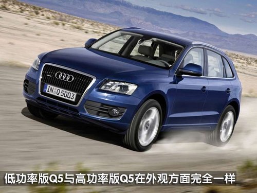 W(M) Q5