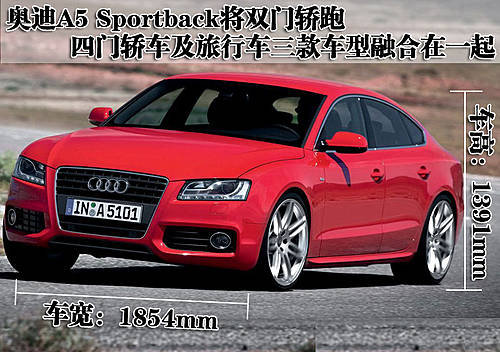 奥迪(进口) A8L 2010款