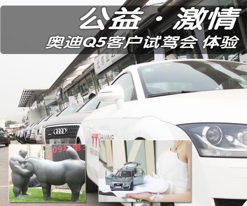 奥迪 Q5