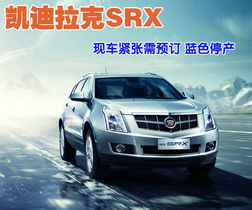 凯迪拉克(进口) 新SRX 2010款