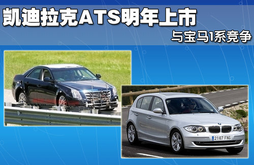 凯迪拉克(进口) CTS 2010款