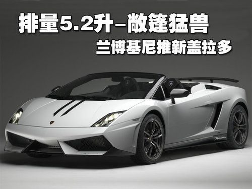 兰博基尼 Gallardo