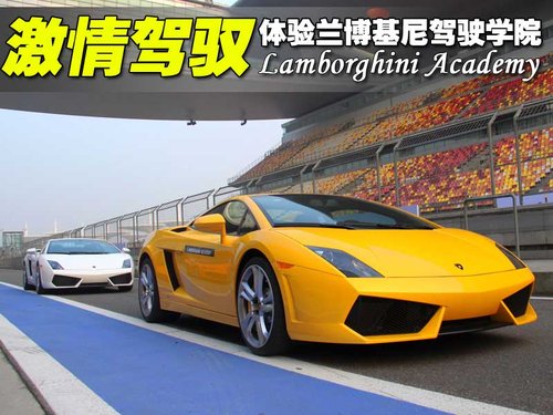 兰博基尼 Gallardo