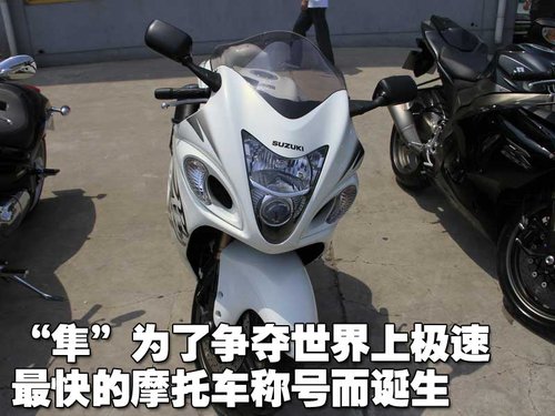铃木(进口) Hayabusa 1300