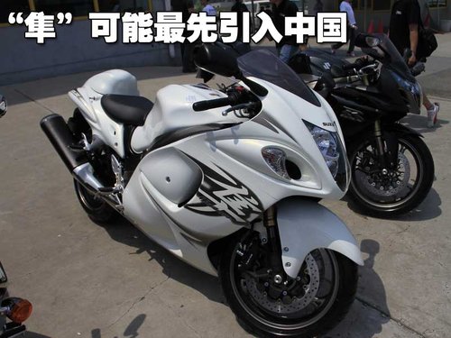 铃木(进口) Hayabusa 1300