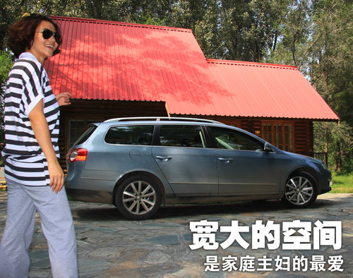 大众(进口) 大众 旅行轿车