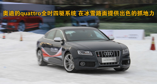 奥迪 Q5 2011款