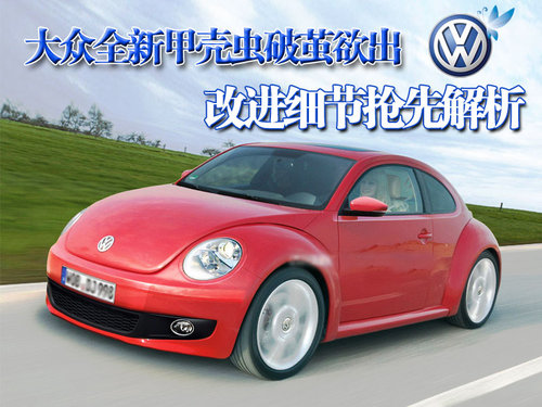 大众(进口) 甲壳虫beetle