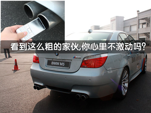 宝马(进口) M5