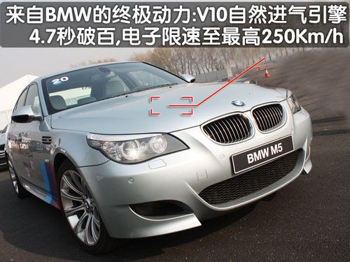 宝马(进口) M5