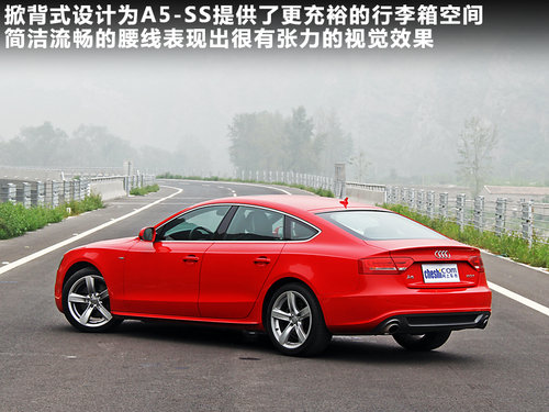 奥迪(进口)  A5 2.0T