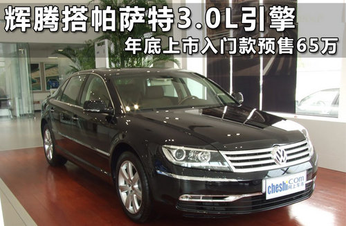 大众(进口)  新辉腾 3.6 V6