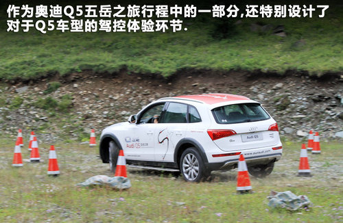 奥迪  Q5 2.0TFSI quattro（155KW）