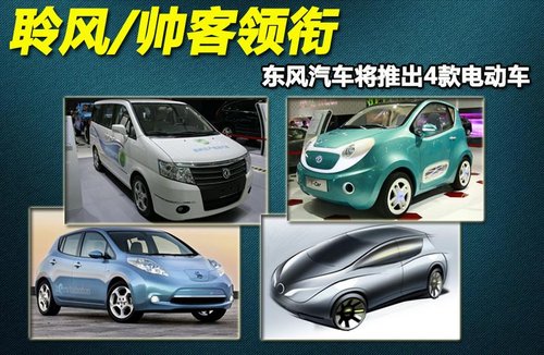 日產(chǎn)(進(jìn)口)  聆風(fēng)電動(dòng)車