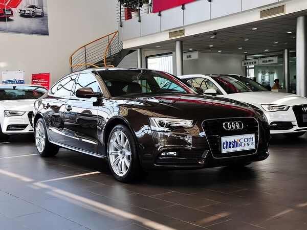 奥迪(进口)  45TFSI 2.0T CVT 车辆右侧45度角