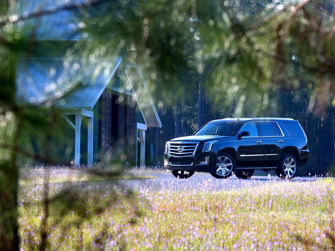 凯迪拉克(进口)  基本型