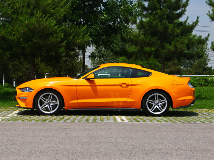 福特(进口) 2.3L 正左侧