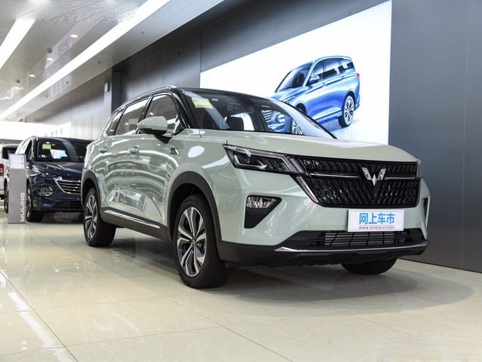 上汽通用五菱  2.0L