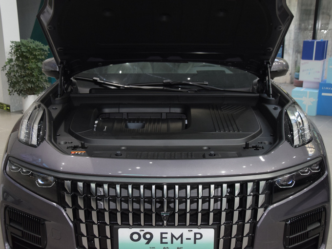 领克  2.0TD EM-P 远航版PM