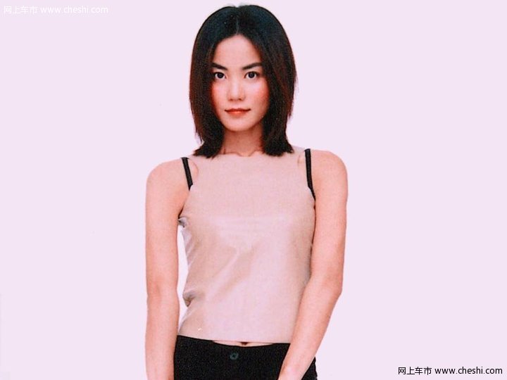 王菲与车
