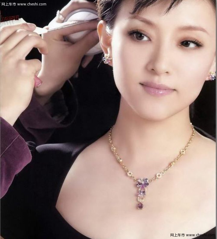 杨澜座驾 奥迪 A8L 