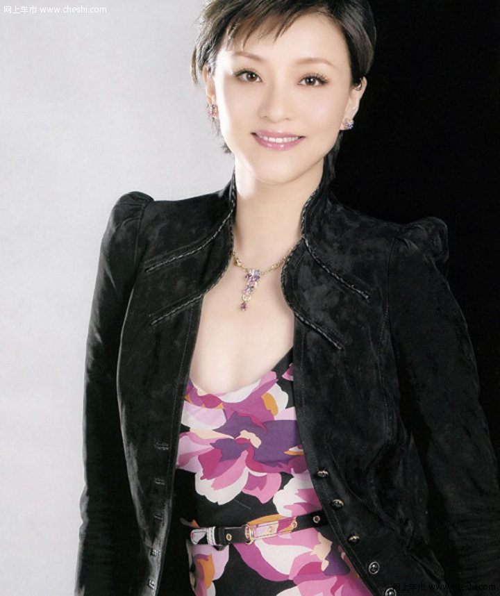 杨澜座驾 奥迪 A8L 