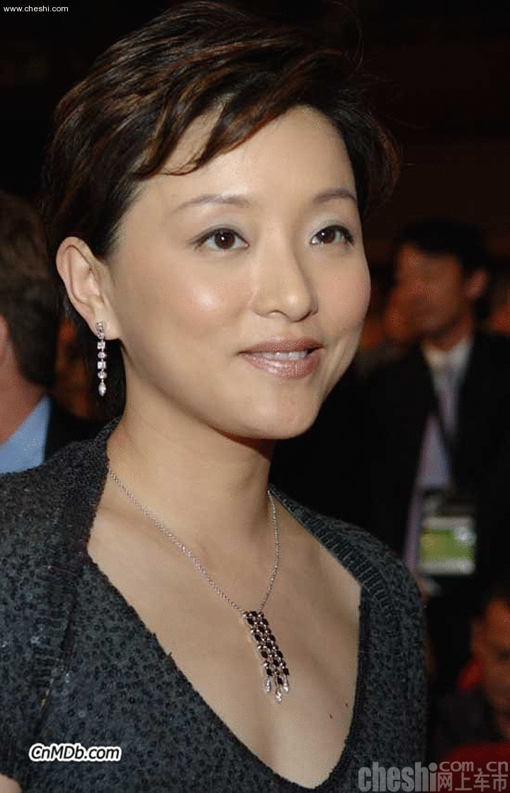 杨澜座驾 奥迪 A8L 