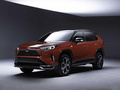 豐田RAV4 PHEV（進口）