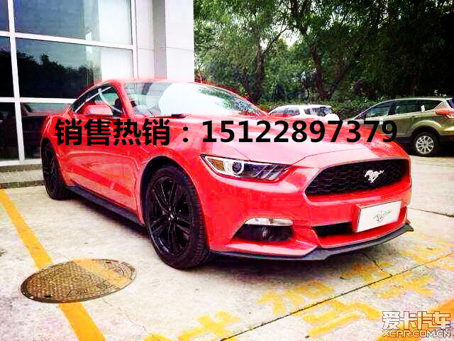 f490596369232b67.jpg
