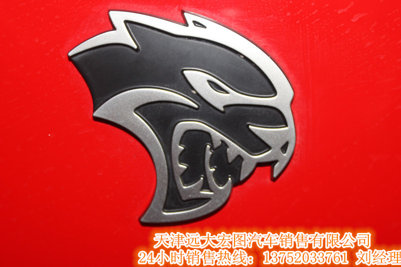 53a549a05dfcf46b.jpg