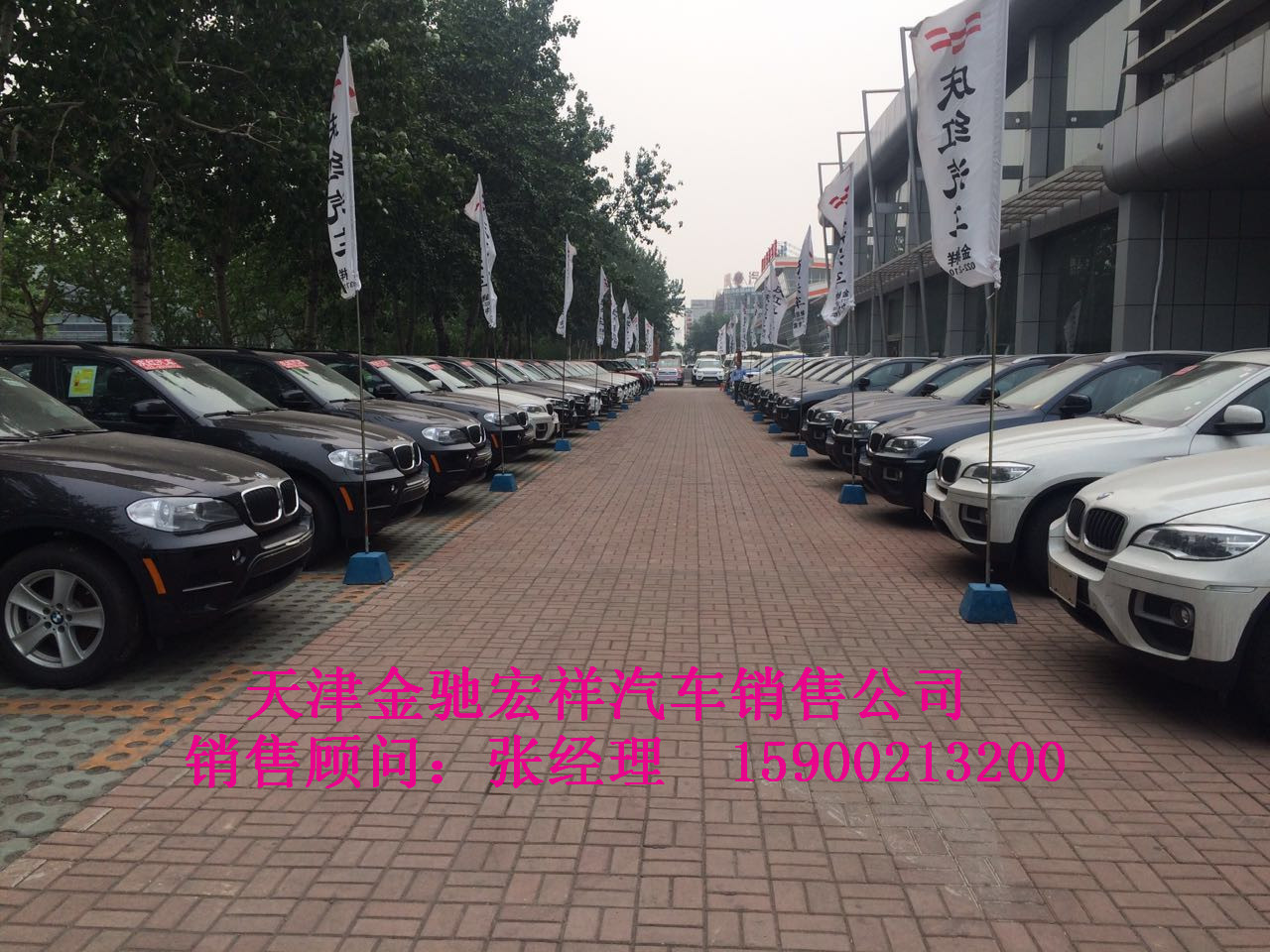 c590fb0a73ef7d73.jpg