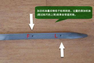 992a78ac6428238d.jpg