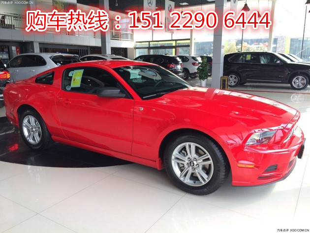 fc8d18f705ef4078.jpg