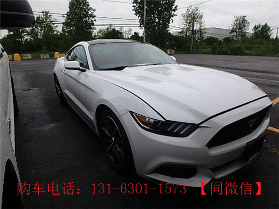 福特野马mustang,福特野马mustang官网